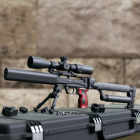 Винтовка пневматическая EdGun Леший 2 6,35мм / 350мм цена